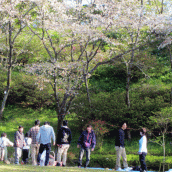 Hanami03
