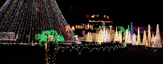 14697265_10153884180916723_348421383_o