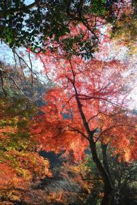 10866047_10152611881846238_5110810189228545359_o