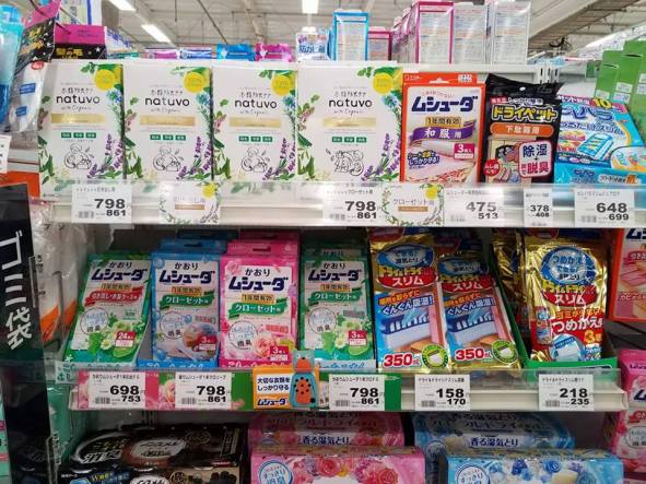 19970878_10214016135580154_493451881_n