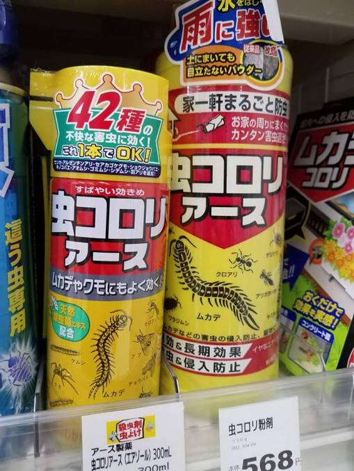 19970951_10214015953215595_153570675_n