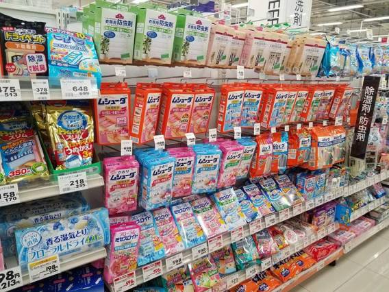 19970951_10214016135420150_1274385685_n