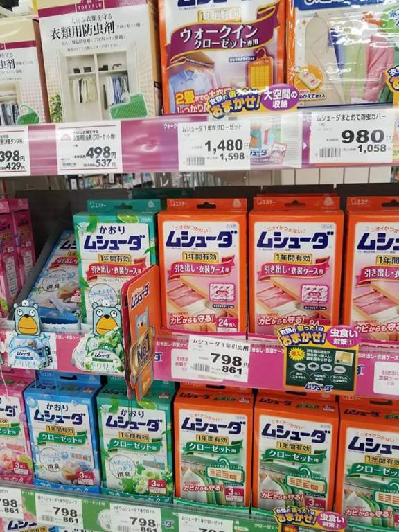 19989111_10214016115419650_93663160_n