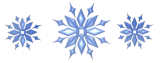 snowflake footer